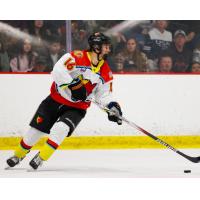 New Mexico Ice Wolves defenseman Francois De Villiers