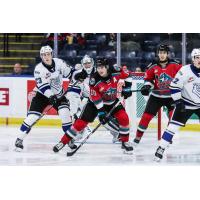 Kelowna Rockets' Luke Schelter in action