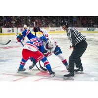 Kitchener Rangers' Luca Romano versus Windsor Spitfires' Cole Davis