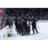 Orlando Solar Bears celebratory huddle