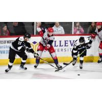 Wichita Thunder forwards Michal Stinil (left) and Kobe Walker battle the Allen Americans