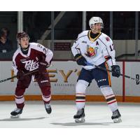 Peterborough Petes right wing Braydon McCallum (left) vs. the Barrie Colts